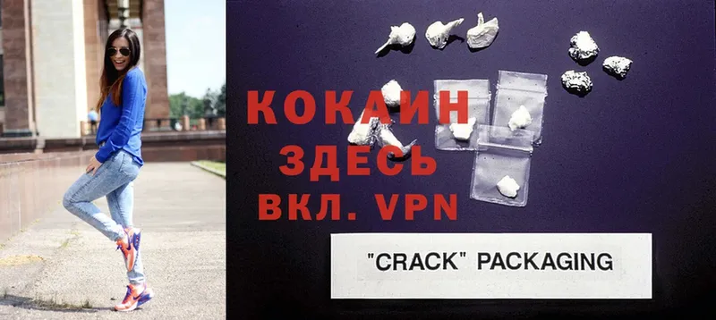 Cocaine Fish Scale  закладки  Арамиль 